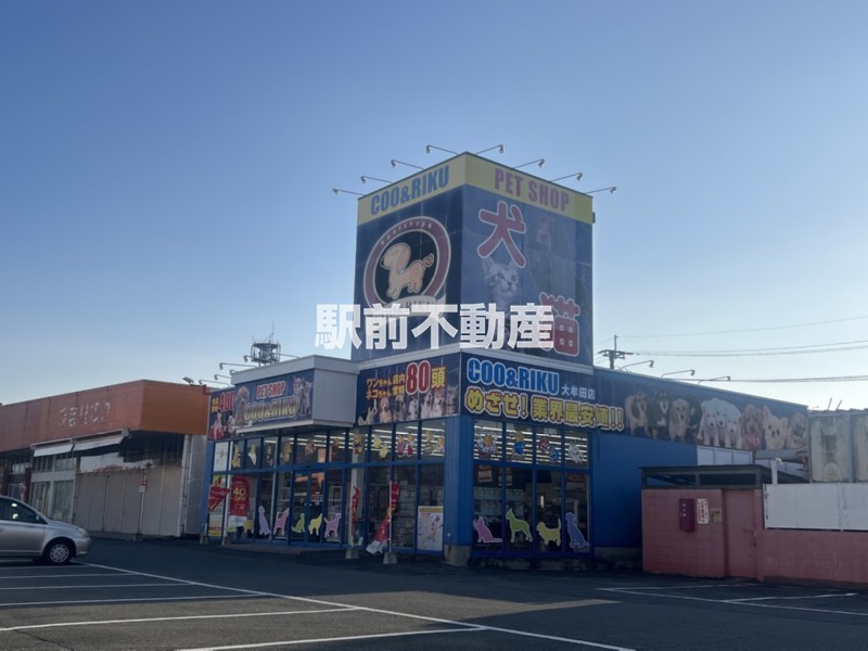 その他　ペットショップＣOO＆ＲＩＫＵ大牟田店（その他）まで800m