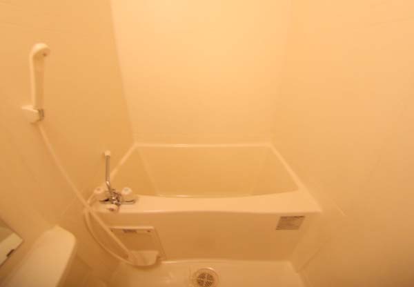 バス・シャワールーム　落ち着いた空間のお風呂です