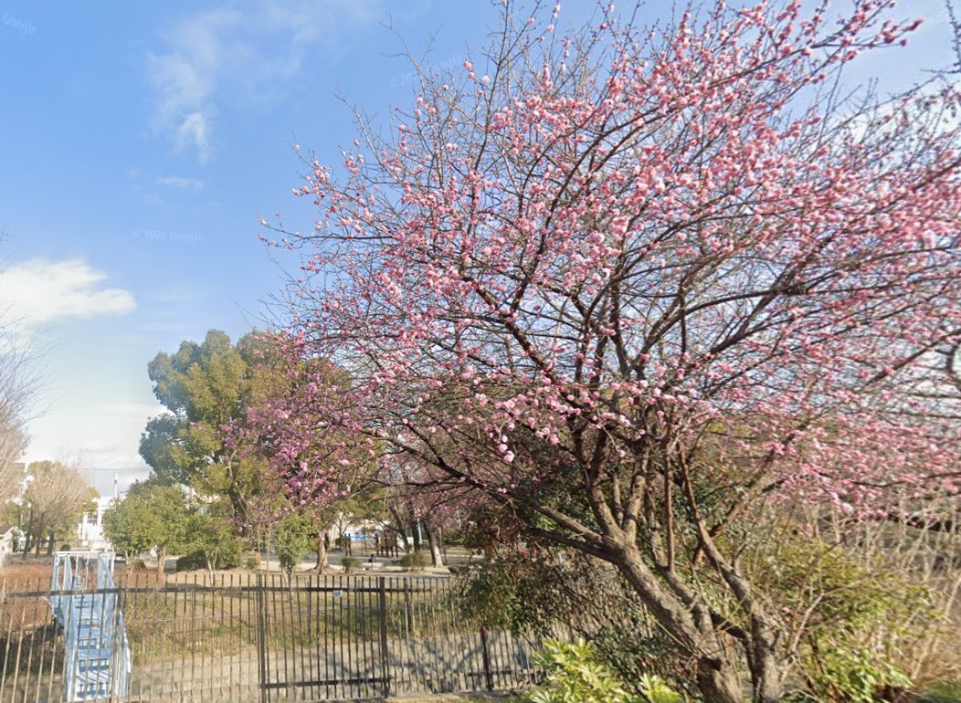 公園　今川公園（公園）まで708m