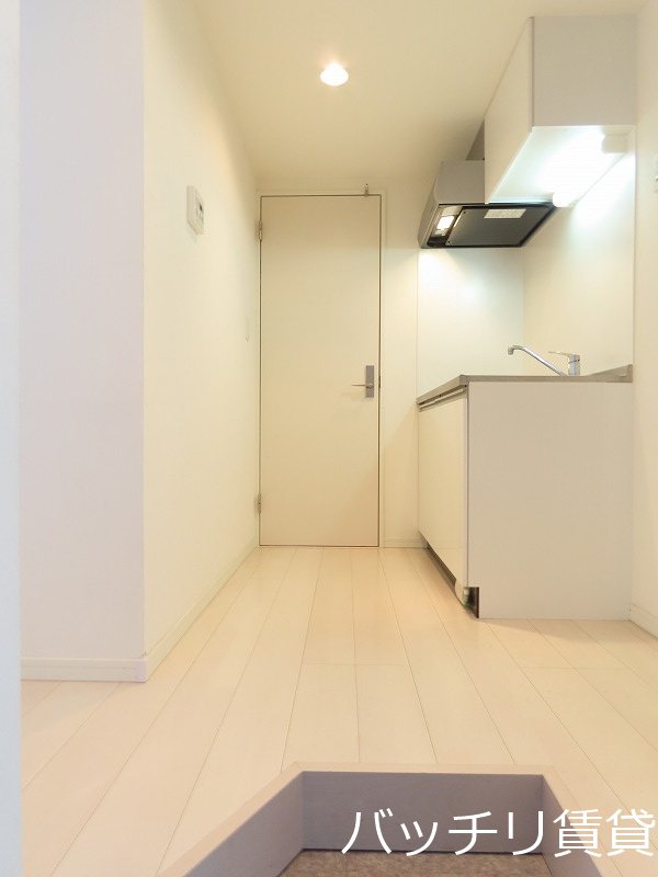 玄関　画像は別号室タイプの為、現状を優先致します。
