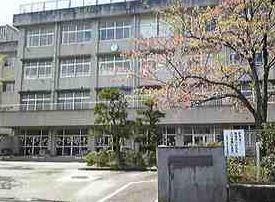 小学校　桜が丘小学校（小学校）まで550m