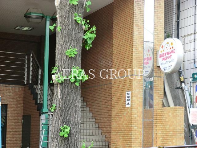 幼稚園・保育園　ベビーホームメロディ宮前平園（幼稚園・保育園）まで215m