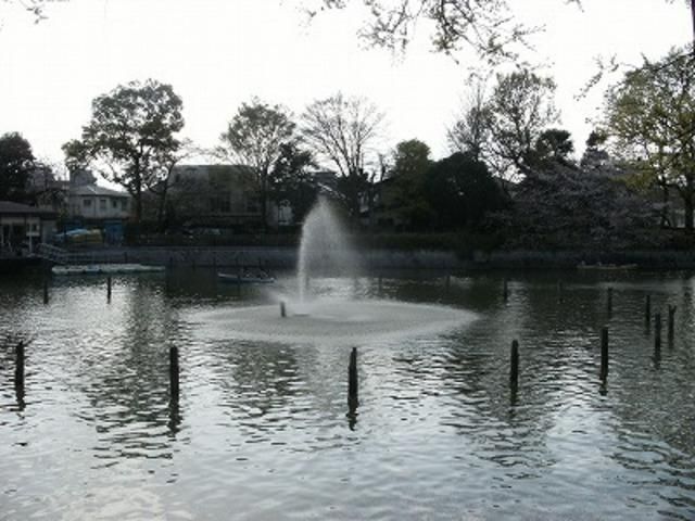 公園　碑文谷公園（公園）まで151m