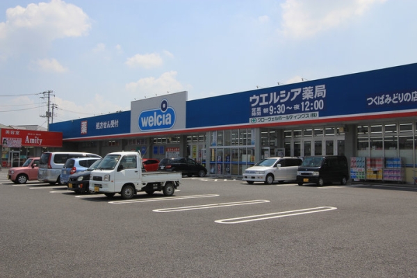 その他　ウエルシアつくばみどりの店（その他）まで300m