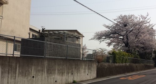 小学校　大府市立共長小学校（小学校）まで466m