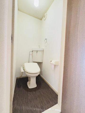 その他　別号数タイプ