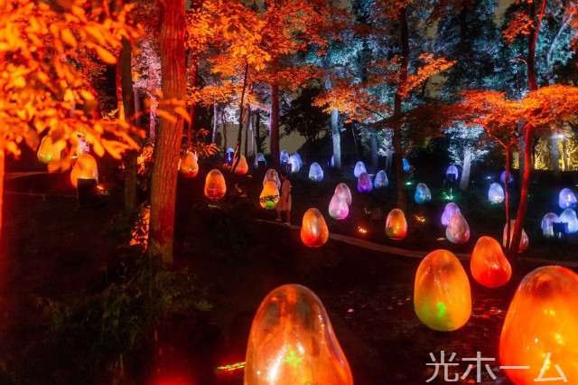 公園　武蔵野樹林パーク（公園）まで269m