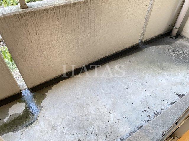 バルコニー　同物件別部屋です。