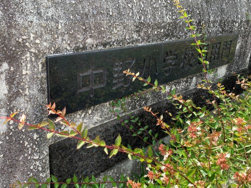 小学校　豊橋市立中野小学校（小学校）まで101m