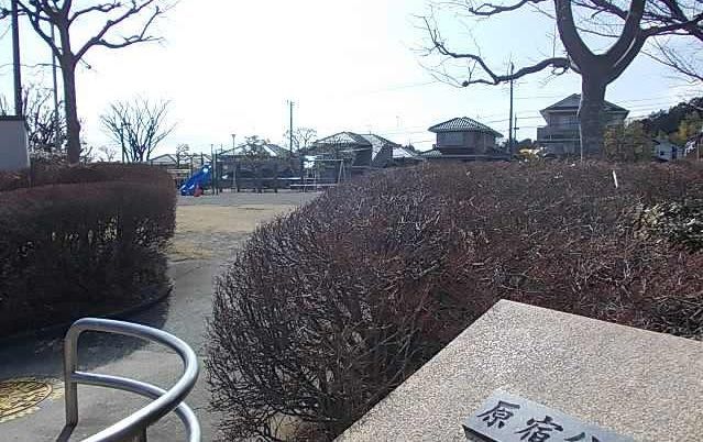 その他　原宿公園まで182m