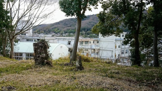 中学校　岡山市立中山中学校（中学校）まで489m