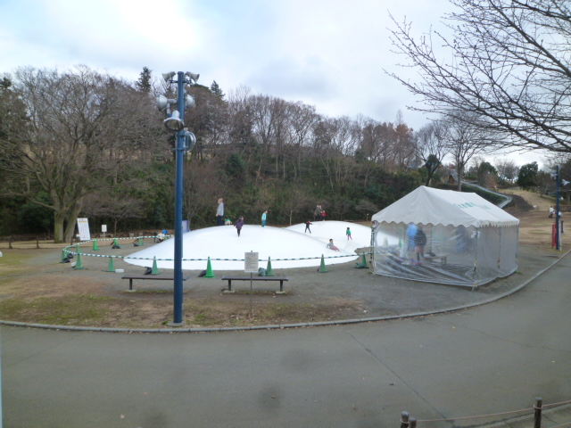 公園　ぼうさいの丘公園（公園）まで548m