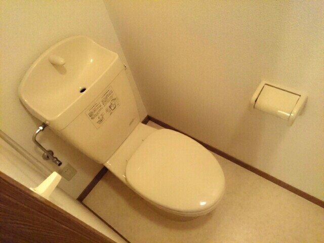 トイレ　トイレも気になるポイント