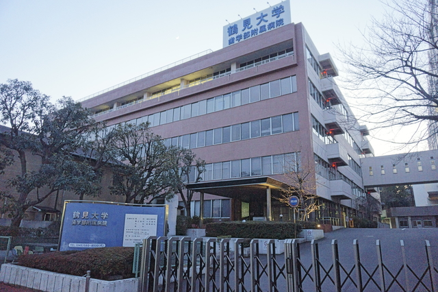病院　鶴見大学歯学部附属病院（病院）まで737m