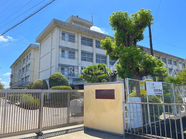 中学校　松原市立松原中学校（中学校）まで221m