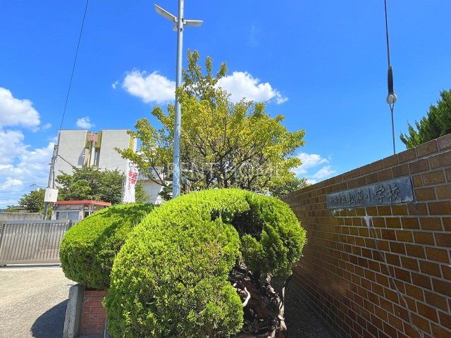 小学校　松原市立松原小学校（小学校）まで436m
