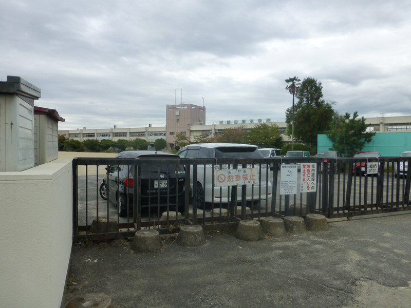 小学校　郡山南小学校（小学校）まで623m