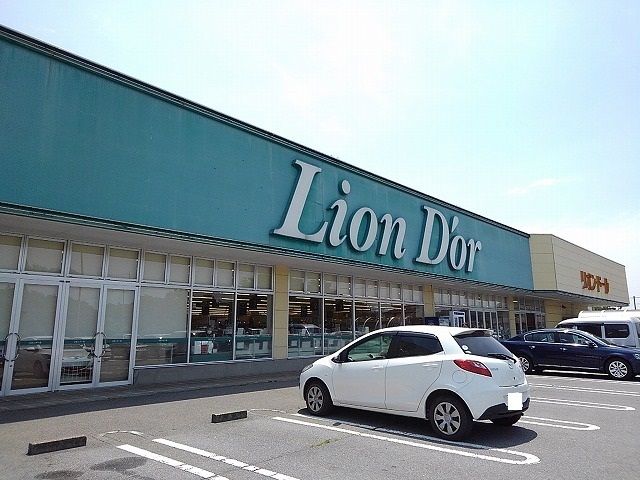 スーパー　リオンドール小川店（スーパー）まで1300m