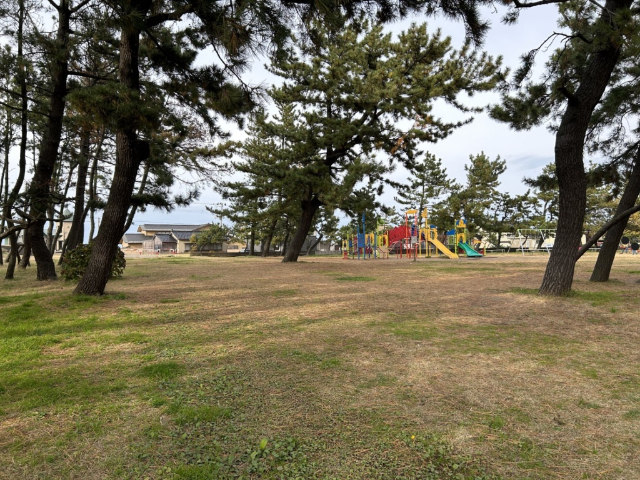 公園　海浜公園（公園）まで1038m