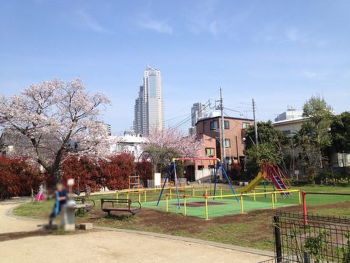 公園　代々木ポニー公園（公園）まで500m