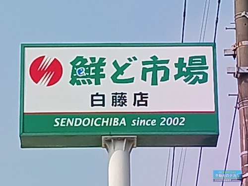 スーパー　鮮ど市場　白藤店（スーパー）まで650m