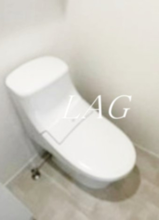 トイレ　トイレです。（同仕様設備です）
