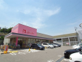 ドラックストア　ニシイチドラッグ　健康館小林駅前店（ドラッグストア）まで1140m