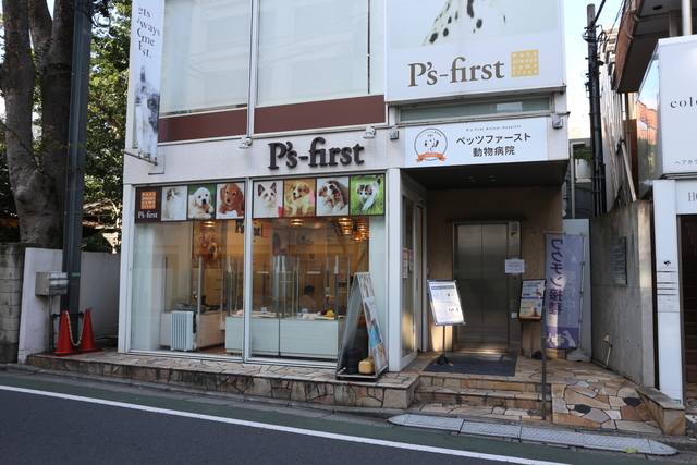 病院　ペッツファースト動物病院（病院）まで1014m