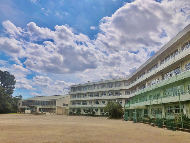 中学校　志木市立志木中学校（中学校）まで971m