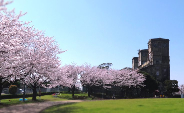 公園　根岸公園（公園）まで698m