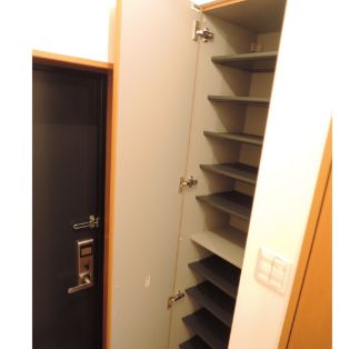 玄関　落ち着いた玄関です