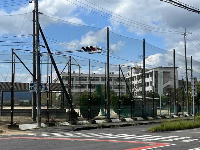 中学校　桜が丘中学校（中学校）まで897m