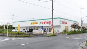 ドラックストア　スギ薬局小平西店（ドラッグストア）まで1582m