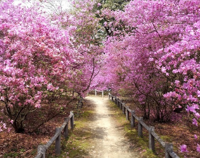 公園　広田山公園（公園）まで450m