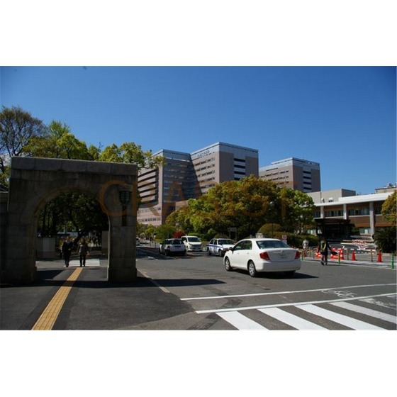 大学・短大　国立九州大学医学部（大学・短大）まで2911m