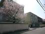 小学校　京都市立下鴨小学校（小学校）まで1457m