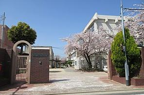 中学校　東大阪市立新喜多中学校（中学校）まで1048m