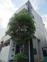 宮前平駅より徒歩13分 3階 築20年の賃貸物件