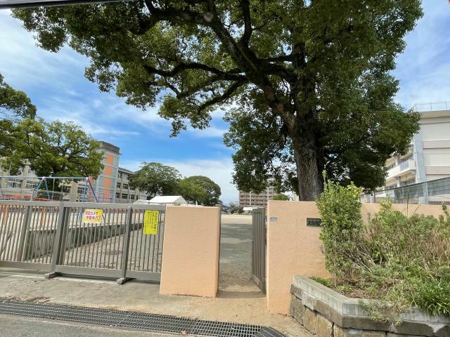 小学校　大分市立鶴崎小学校（小学校）まで2838m