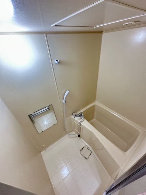 バス・シャワールーム　別部屋参考写真です