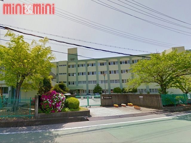 小学校　神戸市立高津橋小学校（小学校）まで600m