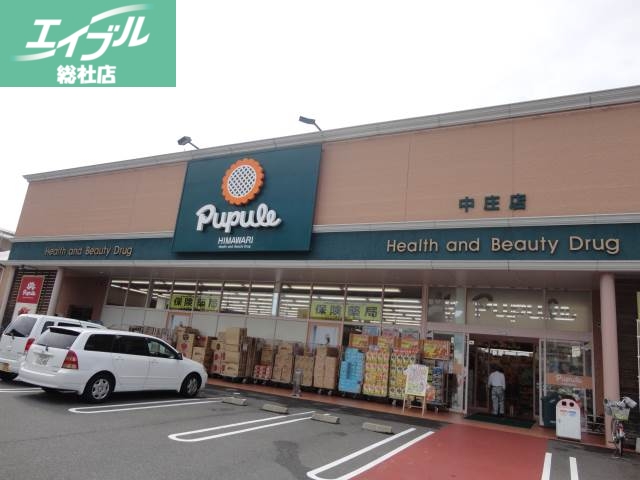ドラックストア　ププレひまわり中庄店（ドラッグストア）まで800m
