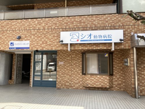病院　シオ動物病院（病院）まで292m