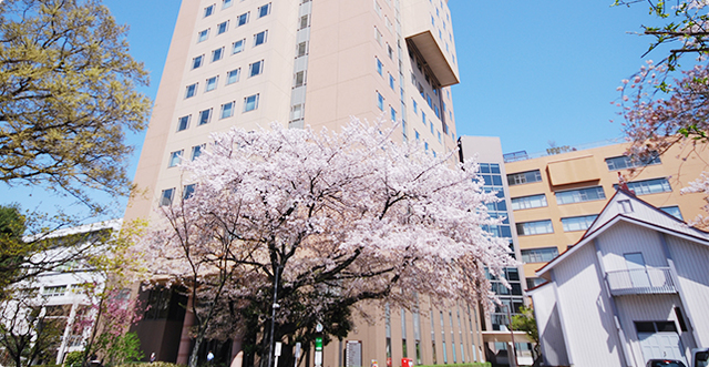 大学・短大　私立日本女子大学（大学・短大）まで343m