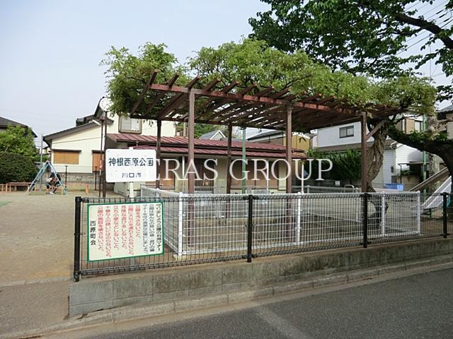 公園　神根西原公園（公園）まで217m