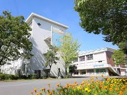 小学校　草津市立玉川小学校（小学校）まで187m