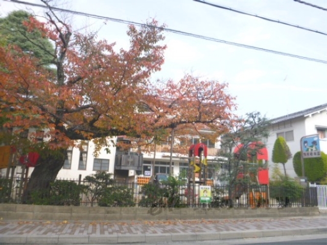 幼稚園・保育園　鴨東幼稚園（幼稚園・保育園）まで590m