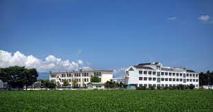 小学校　野洲市立中主小学校（小学校）まで657m