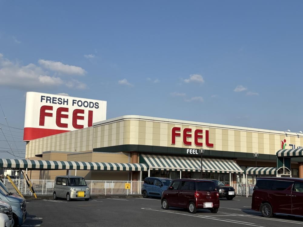 スーパー　FEEL(フィール) 岡崎大和店（スーパー）まで803m
