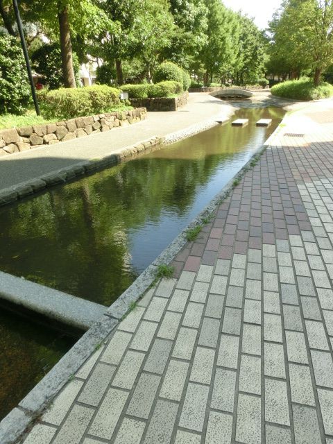 その他　パークシティ新川崎敷地内